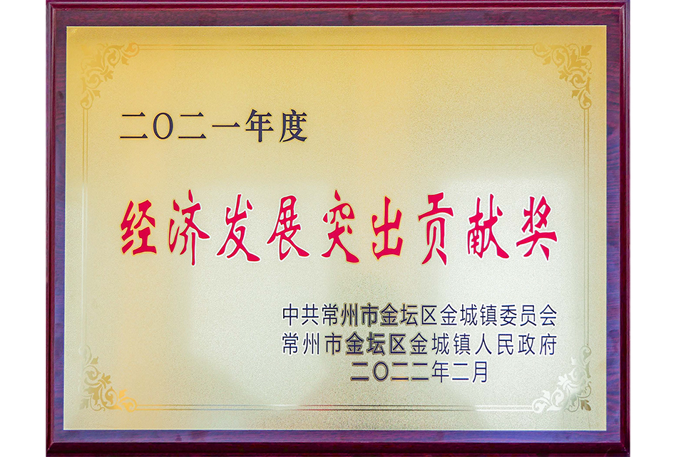 經(jīng)濟(jì)發(fā)展突出貢獻(xiàn)獎